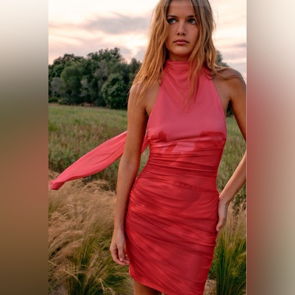 ZARA ~ Zara printed tulle dress - Picture 6 of 12